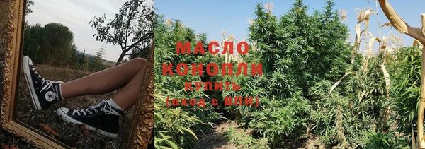 спиды Аркадак