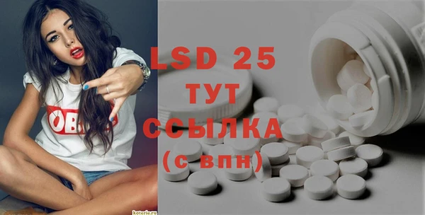 PSILOCYBIN Армянск