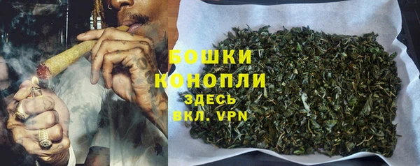 спиды Аркадак