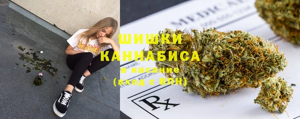 PSILOCYBIN Армянск