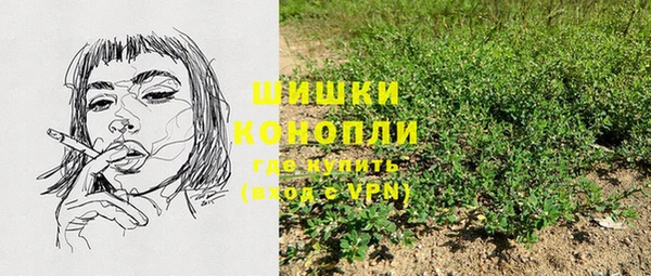 спиды Аркадак