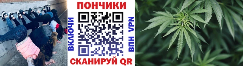 Канабис AK-47  купить закладку  Пласт 
